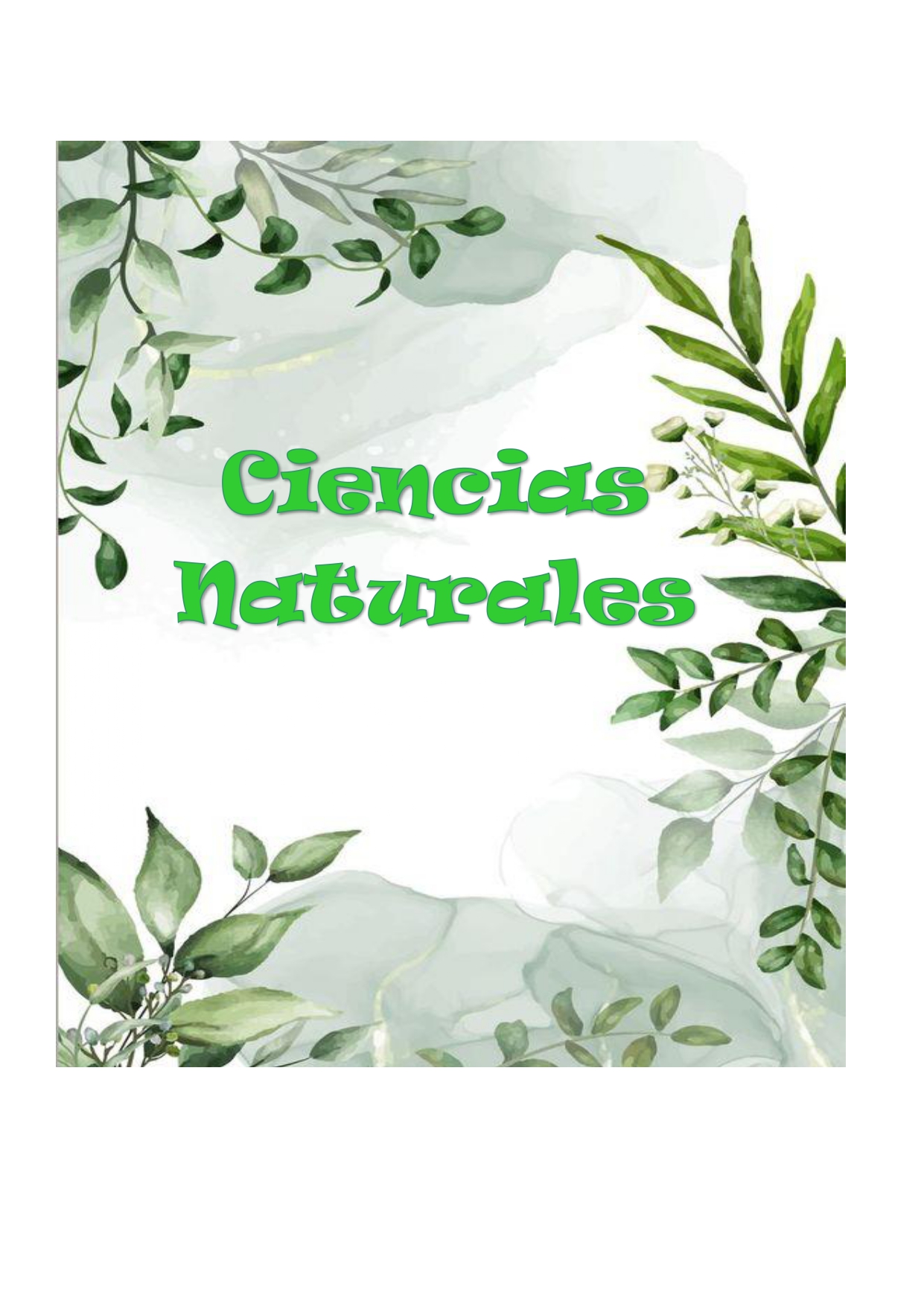 Ciencias Naturales - 6to Grado - Turno Tarde - B - 2 Seccion